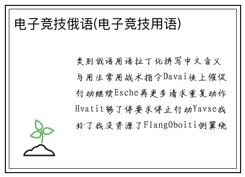 电子竞技俄语(电子竞技用语)